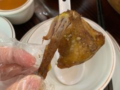-南海鸽天下(肇庆店)