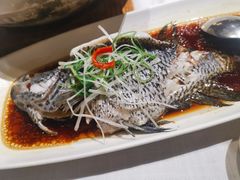 -宝燕海货工场(长江国际店)