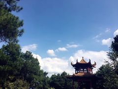 -铁山坪森林公园