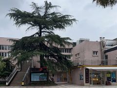 -同济大学(沪西校区)