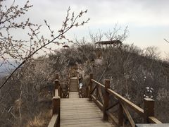 -大岭沟猕猴桃谷风景区