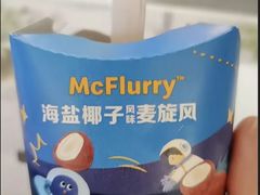 海盐椰子风味麦旋风-麦当劳(未来城购物中心店)