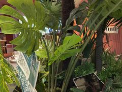 -芸山季·云南野生菌火锅(宝能环球汇店)