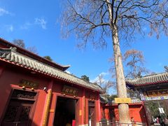 -黔灵山公园