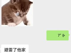 -安天民北方饺子(彩田店)
