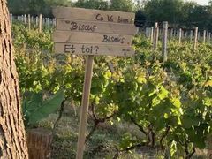 -安德鲁户外烧烤帐篷营地(马泉营店)