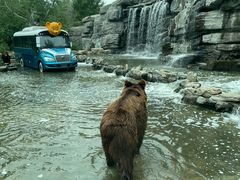 -北京野生动物园