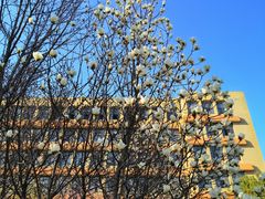 -北京舞蹈学院食堂