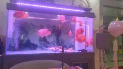 -安院长·产后恢复·徒手骨盆(先天下店)