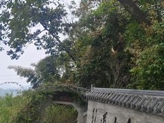 -广州市帽峰山景区