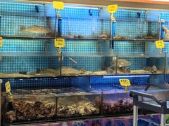 -前王院•巧克力海鲜市集餐厅(万平口店)