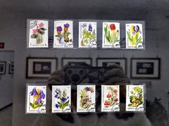 -国家植物园南园