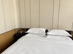 -雲宜贵宾舍酒店(深圳龙东地铁站店)