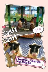 -萌宠亲子动物乐园(槐房万达店)