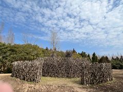 -东平国家森林公园