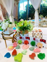 -英芬国际月子中心(岛屿度假月子·洲至奢选香岚店)