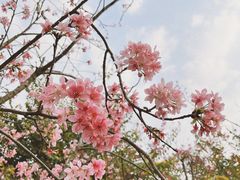 -小南山公园