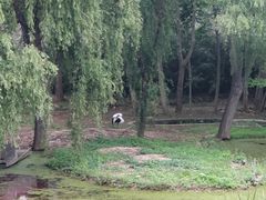 -石家庄市动物园