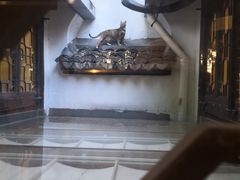 -猫的天空之城概念书店(杭州南宋御街店)