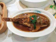 红烧河豚-肆月河豚·新淮扬(金融街店)