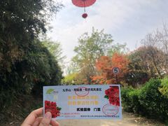 -盛世牡丹苑生态文化旅游区