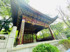-汇龙潭
