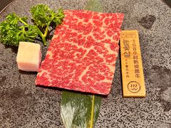 -火浪壹 by tigergrill(33小镇店)
