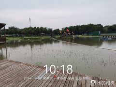 -金卉庄园