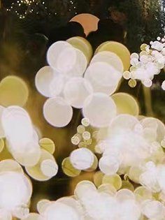 -四方阁酒楼·宴会厅(圣灯店)