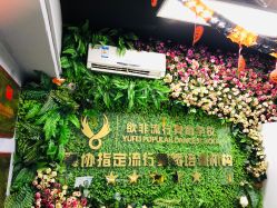 -欲非舞蹈