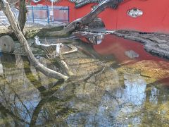 -水磨沟公园
