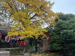 -佛荫寺