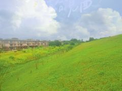 -美的鹭湖森林度假区