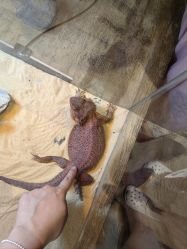 -Zoolung Zoolung动物主题公园(海信广场店)