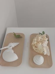 -VE专注问题肌·赛诺龙&科学美肤中心