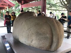 -茂陵博物馆