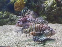 -大连老虎滩海洋公园