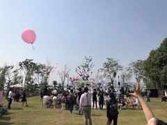 -东湖落雁景区