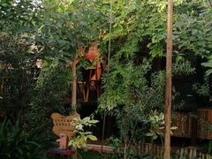 -呀路古热带植物园