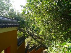 -珞珈山-售票处