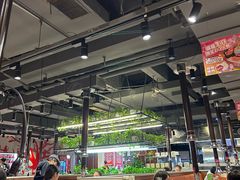 -猫爪爪原切自助烤肉(观音桥阳光世纪店)
