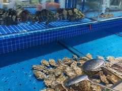 -鸿腾国际大酒店-海鲜姿造海鲜烤肉自助餐