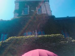 -半岛公馆(淞兴西路店)