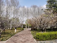 -郑州植物园