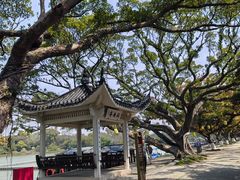 -江心屿景区