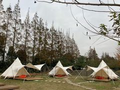 -前小桔亲子创意农场·草莓采摘·露营烧烤