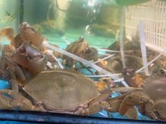 -拉完海鲜大排档(温岭店)