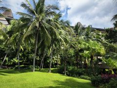 -海南清水湾莱佛士酒店