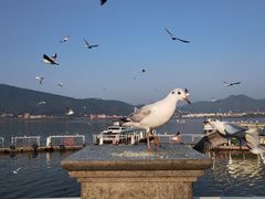 -海埂大坝