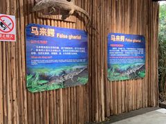 -广州长隆飞鸟乐园